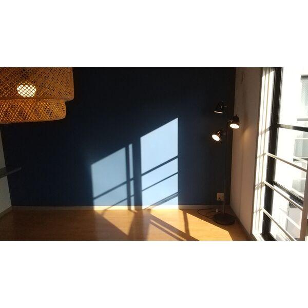 LEGANNEX(リガネックス)N19