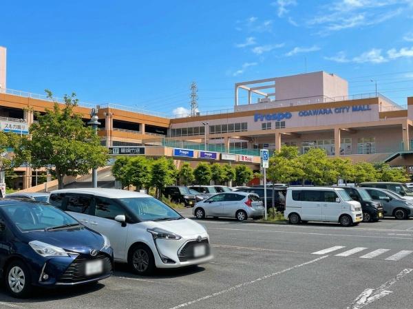 プラザイシヅカB(シティーモールフレスポ　小田原)