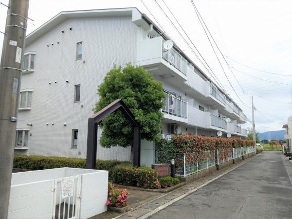 ハイライフマンション岩原
