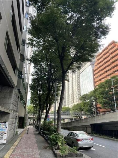 新宿区西新宿３丁目の店舗・事務所