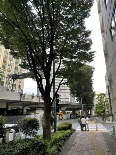 新宿区西新宿３丁目の店舗・事務所