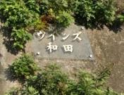 ウインズ和田