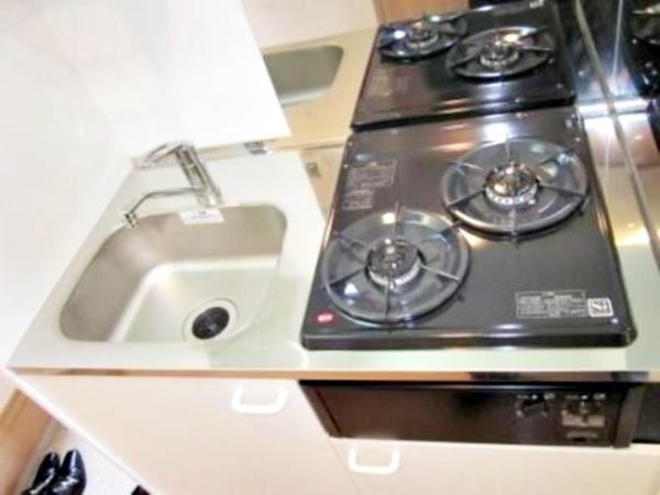 プラナス妙蓮寺Ⅲ