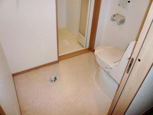 プラナス妙蓮寺Ⅲ