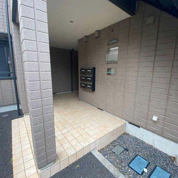 エバーグリーン