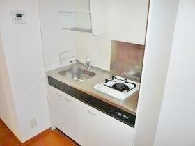 Ｓｏｌｅｇｉｏ　S