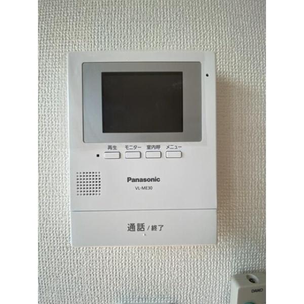 アムール　アンバー
