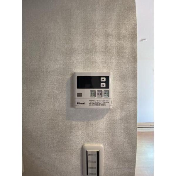 アムール　アンバー