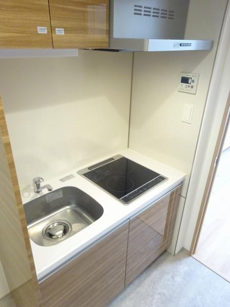 ラフィスタ元町Ⅱ