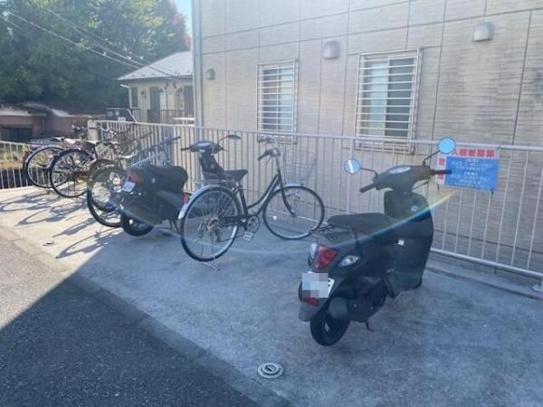 ドルフ