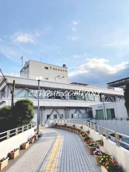 ｍｉｎｅｒｕｍｏ　Ｎｉｓｈｉｙａ(横浜市旭区役所)