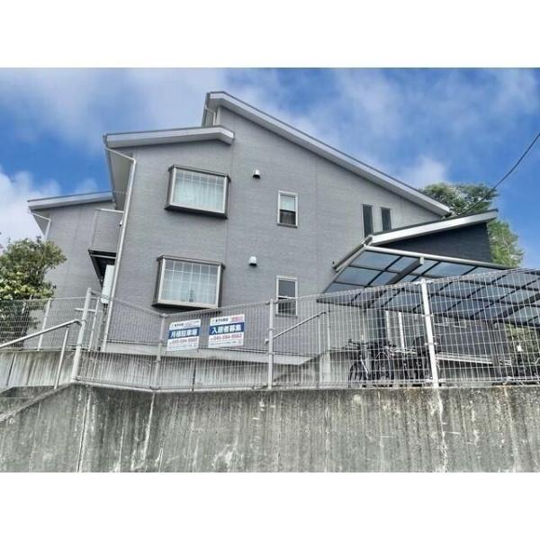 アムール　シュシュ
