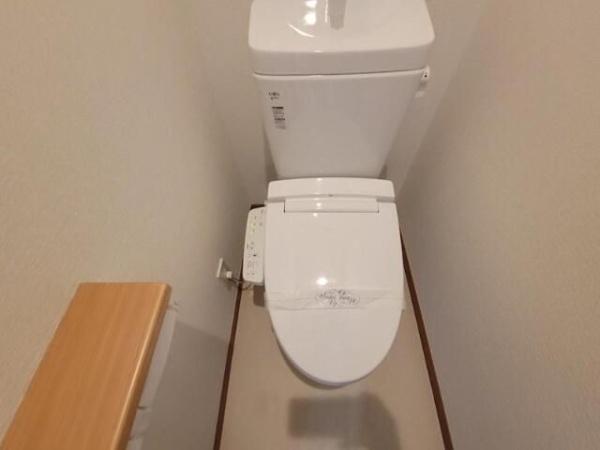 ベルカレッジ