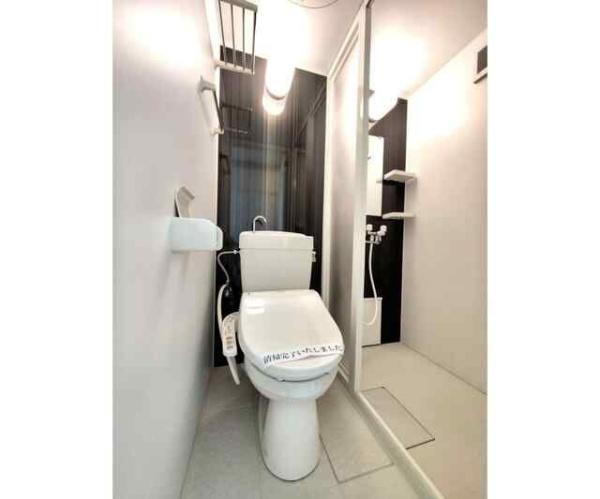 ユナイト上星川ポールパイアチェック