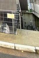 アーヴェル三ツ沢下町