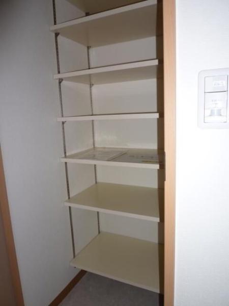 エヴァーグリーン新羽