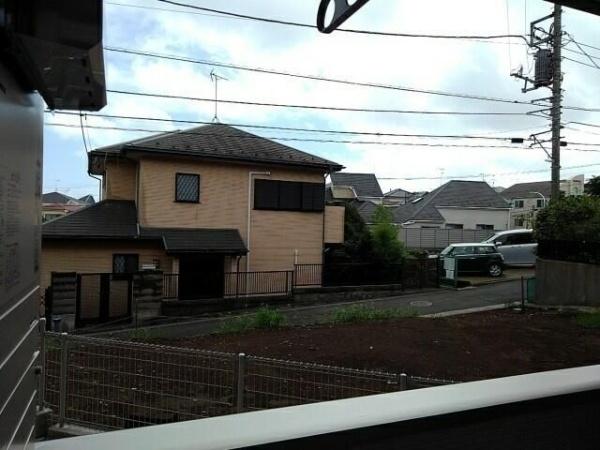グリシーヌ