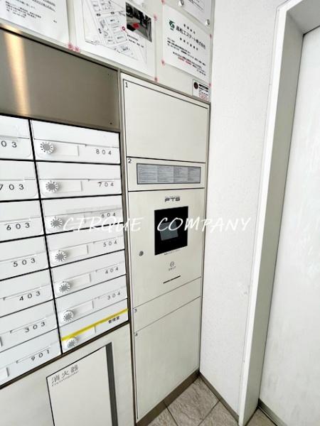 Ｙｏｋｏｈａｍａ　Ｓｈｉｇｙｏ　Ｂ．Ｌ．Ｄ