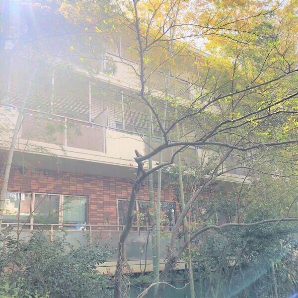 フォーエバービル