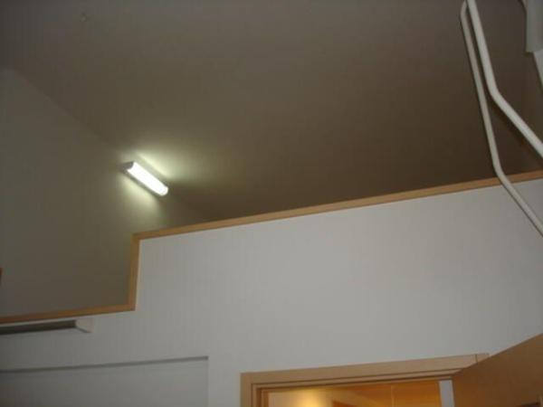 フェリシダ子安