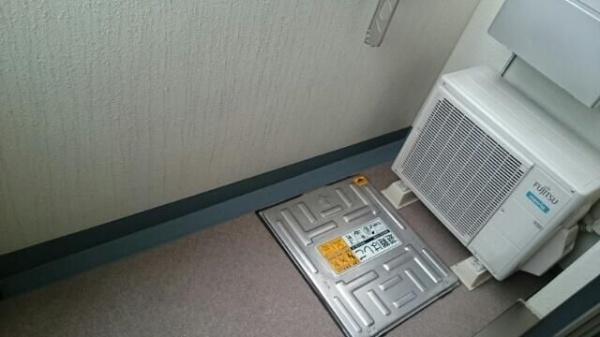 プラシード　横浜