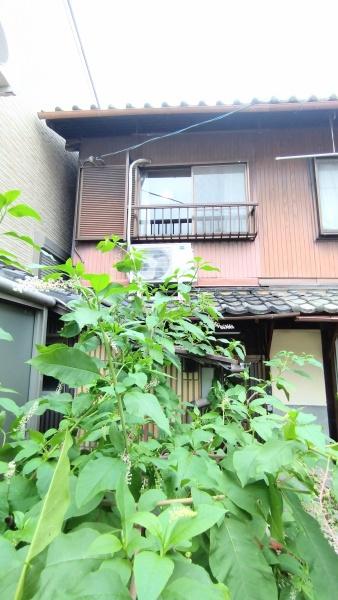 大津市長等３丁目のテラスハウス